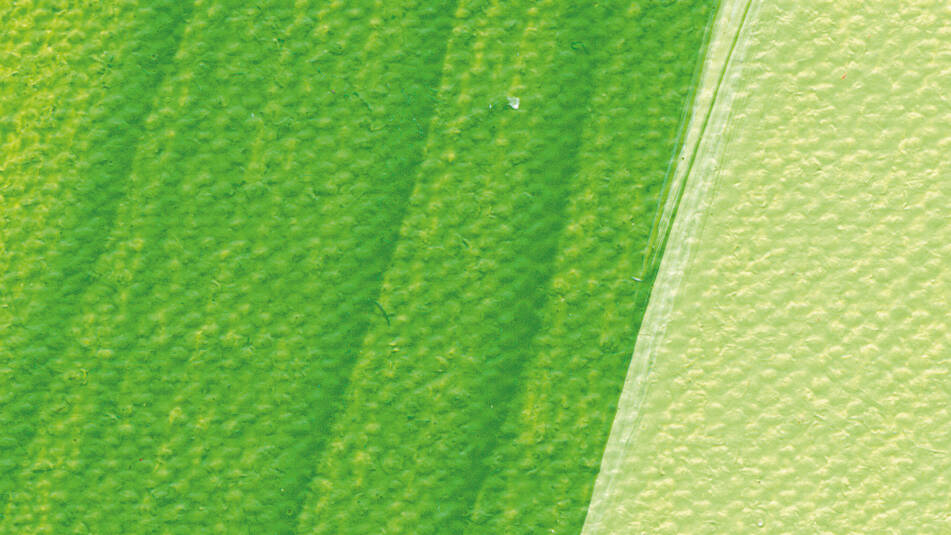 Schmincke Akademie Akrilik Mürekkep 50 ml 557 May Green