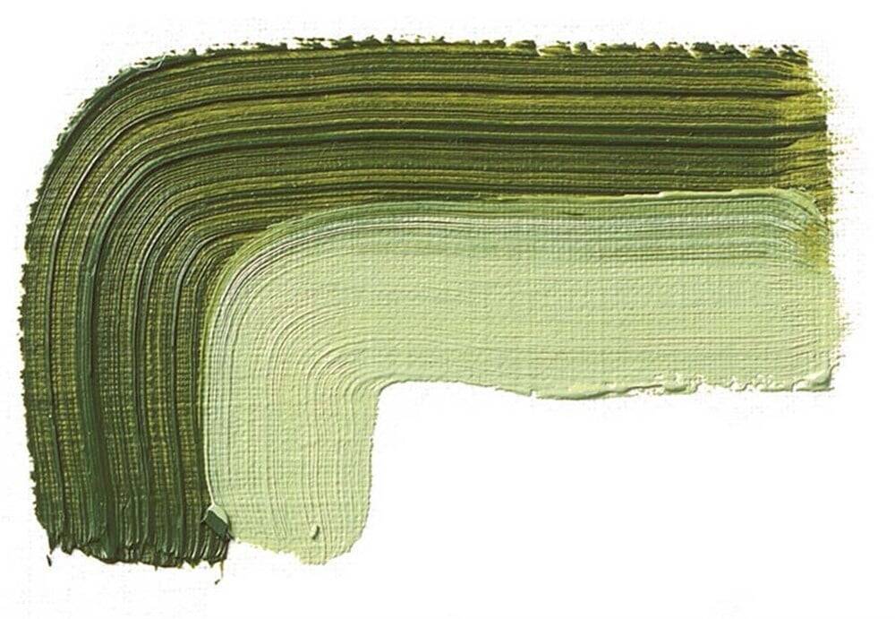 Schmincke Akademie Öl Color Yağlı Boya 60 ml Seri 1 504 Green Earth