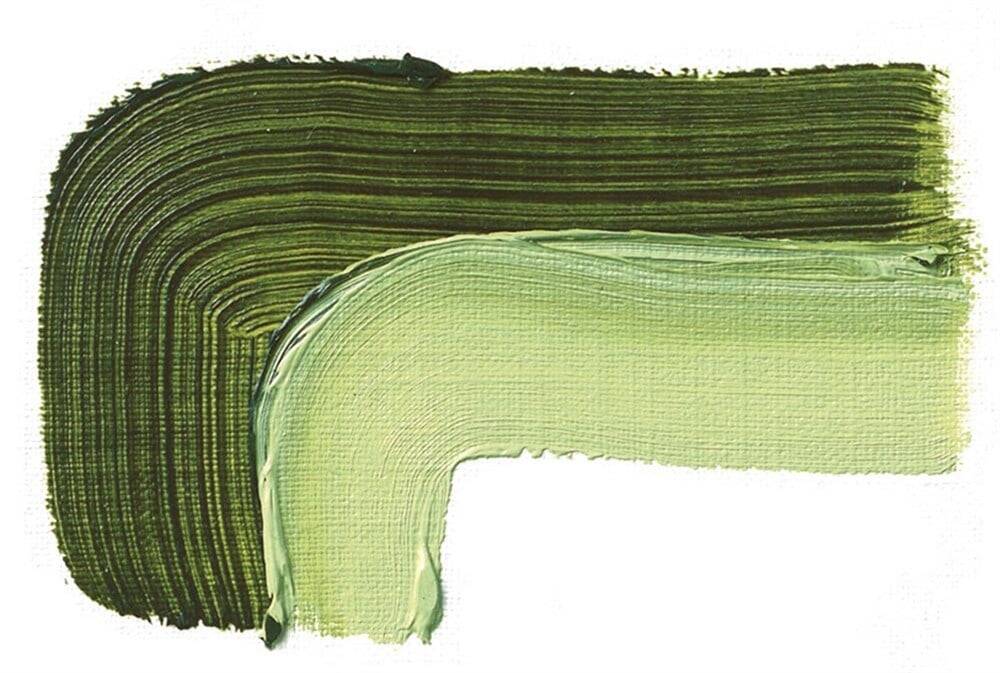 Schmincke Akademie Öl Color Yağlı Boya 60 ml Seri 1 506 Sap Green