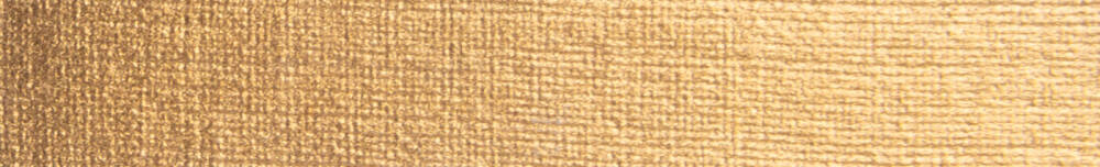 Schmincke Aqua Bronze Sulu Boya Yaldız Pigment 20 ml 813 Pale Gold