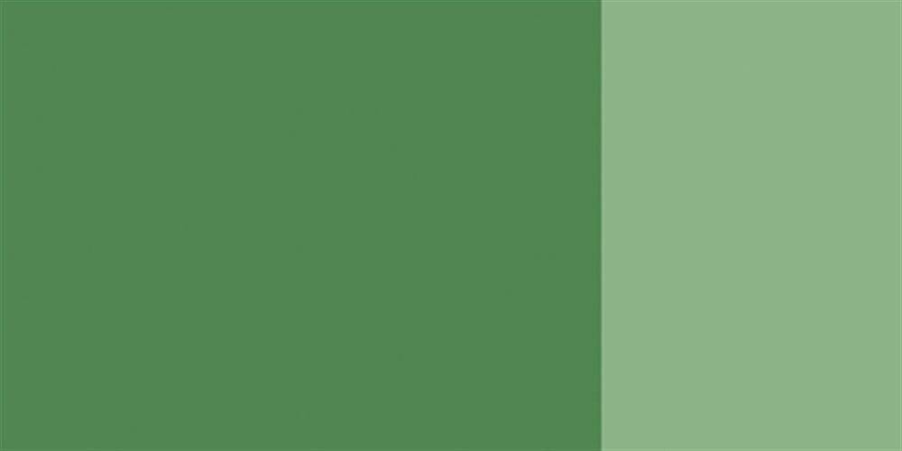 Schmincke Hks Designers Gouache Guaj Boya 20 ml Tüp 558 Chromium Oxide Green
