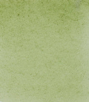 Schmincke Horadam Aquarell Artist Sulu Boya Tam Tablet Seri 1 516 Green Earth