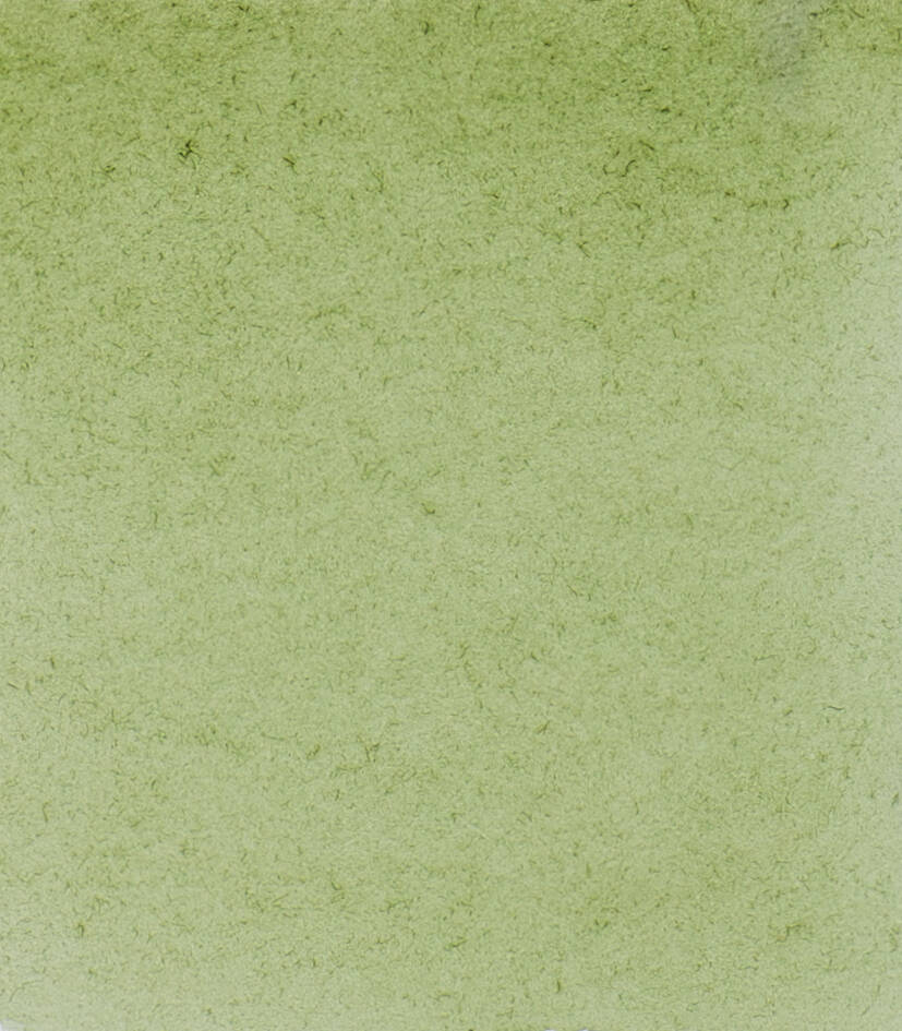 Schmincke Horadam Aquarell Artist Sulu Boya Tam Tablet Seri 1 516 Green Earth