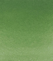 Schmincke Horadam Aquarell Artist Sulu Boya Tam Tablet Seri 2 512 Chromium Oxide Green