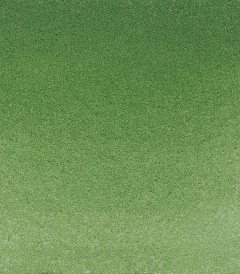 Schmincke Horadam Aquarell Artist Sulu Boya Tam Tablet Seri 2 512 Chromium Oxide Green