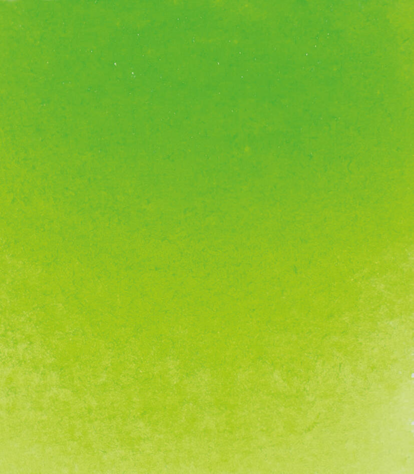 Schmincke Horadam Aquarell Artist Sulu Boya Tam Tablet Seri 2 524 May Green
