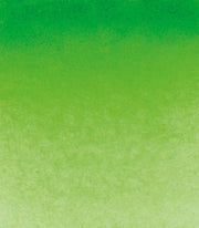 Schmincke Horadam Aquarell Artist Sulu Boya Tam Tablet Seri 2 526 Permanent Green