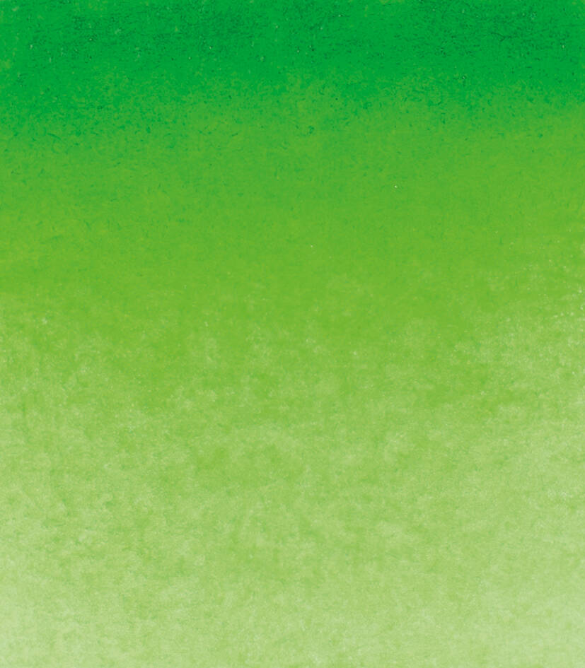 Schmincke Horadam Aquarell Artist Sulu Boya Tam Tablet Seri 2 526 Permanent Green