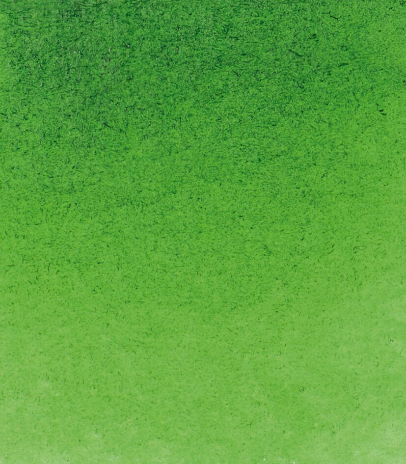 Schmincke Horadam Aquarell Artist Sulu Boya Tam Tablet Seri 2 530 Sap Green