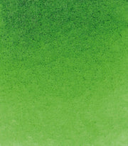 Schmincke Horadam Aquarell Suluboya 5 Ml Tüp 530 Sap Green