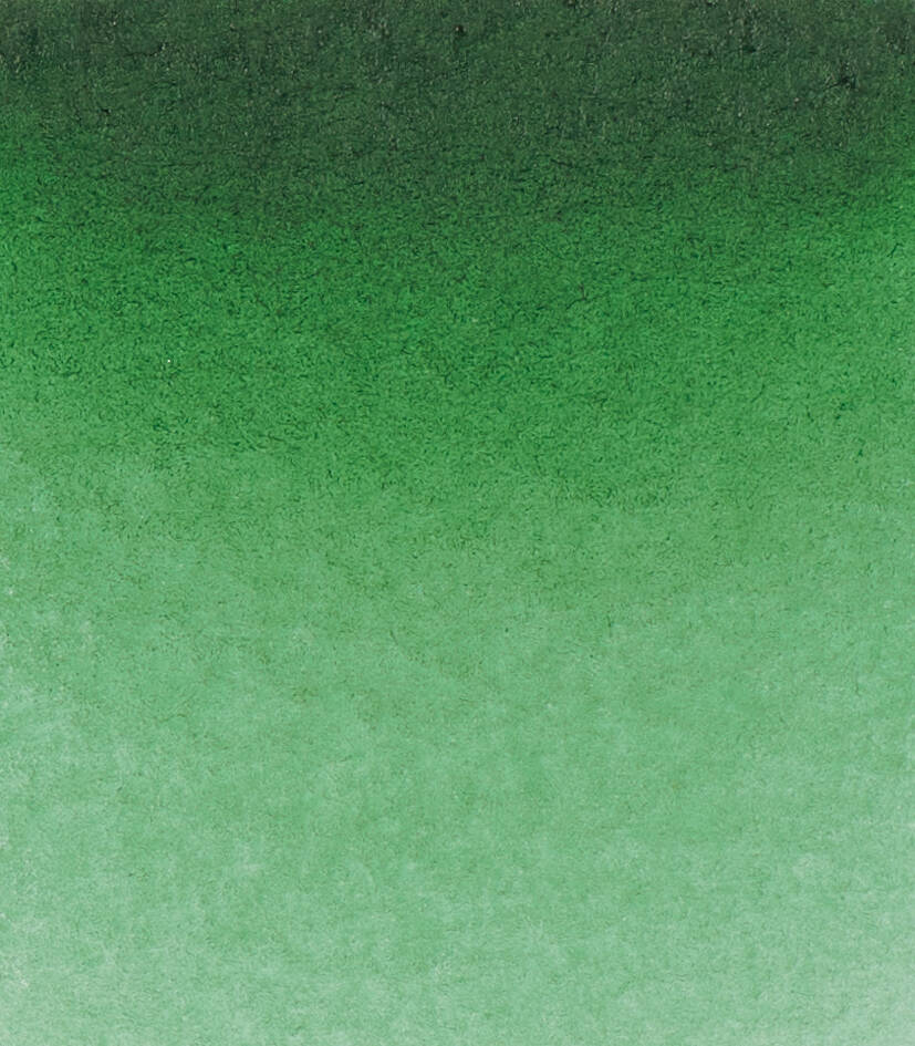 Schmincke Horadam Aquarell Suluboya 5 Ml Tüp 534 Permanent Green Olive