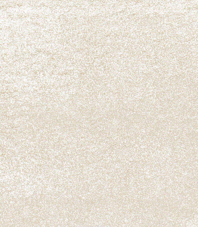 Schmincke Horadam Aquarell Suluboya 5 Ml Tüp 894 Silver
