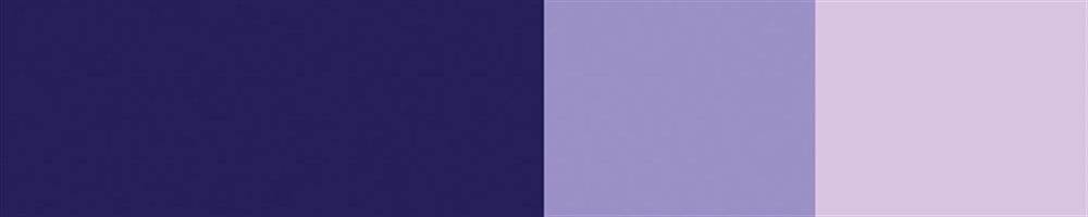 Schmincke Horadam Gouache Artist Guaj Boya 15 ml Seri 1 460 Violet
