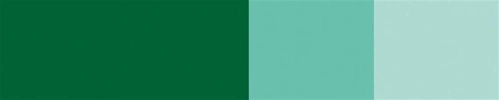 Schmincke Horadam Gouache Artist Guaj Boya 15 ml Seri 1 524 Helio Green Yellowish