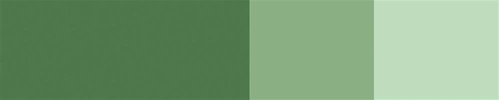Schmincke Horadam Gouache Artist Guaj Boya 15 ml Seri 1 530 Chromium Oxide Green