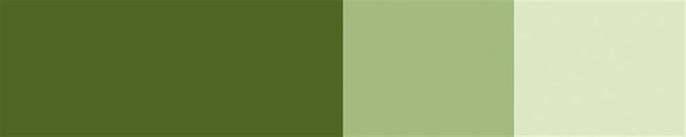 Schmincke Horadam Gouache Artist Guaj Boya 15 ml Seri 2 532 Olive Green