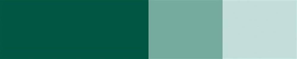 Schmincke Horadam Gouache Artist Guaj Boya 15 ml Seri 4 528 Cobalt Green Deep