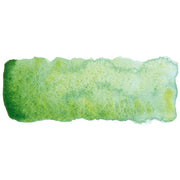 Schmincke Horadam Supergranulation Sulu Boya 15 ml 933 Shire Green