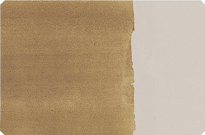 Schmincke Toz Pigment 682 Raw Umber, Greenish 100 ml