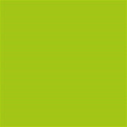 Talens Amsterdam Standard Akrilik Boya 120 ml 243 Greenish Yellow