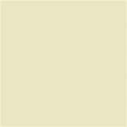 Talens Amsterdam Standard Akrilik Boya 120 ml 282 Naples Yellow Green