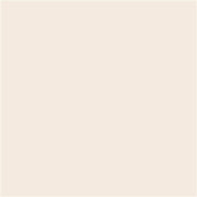 Talens Amsterdam Standard Akrilik Boya 120 ml 289 Titanium Buff Light