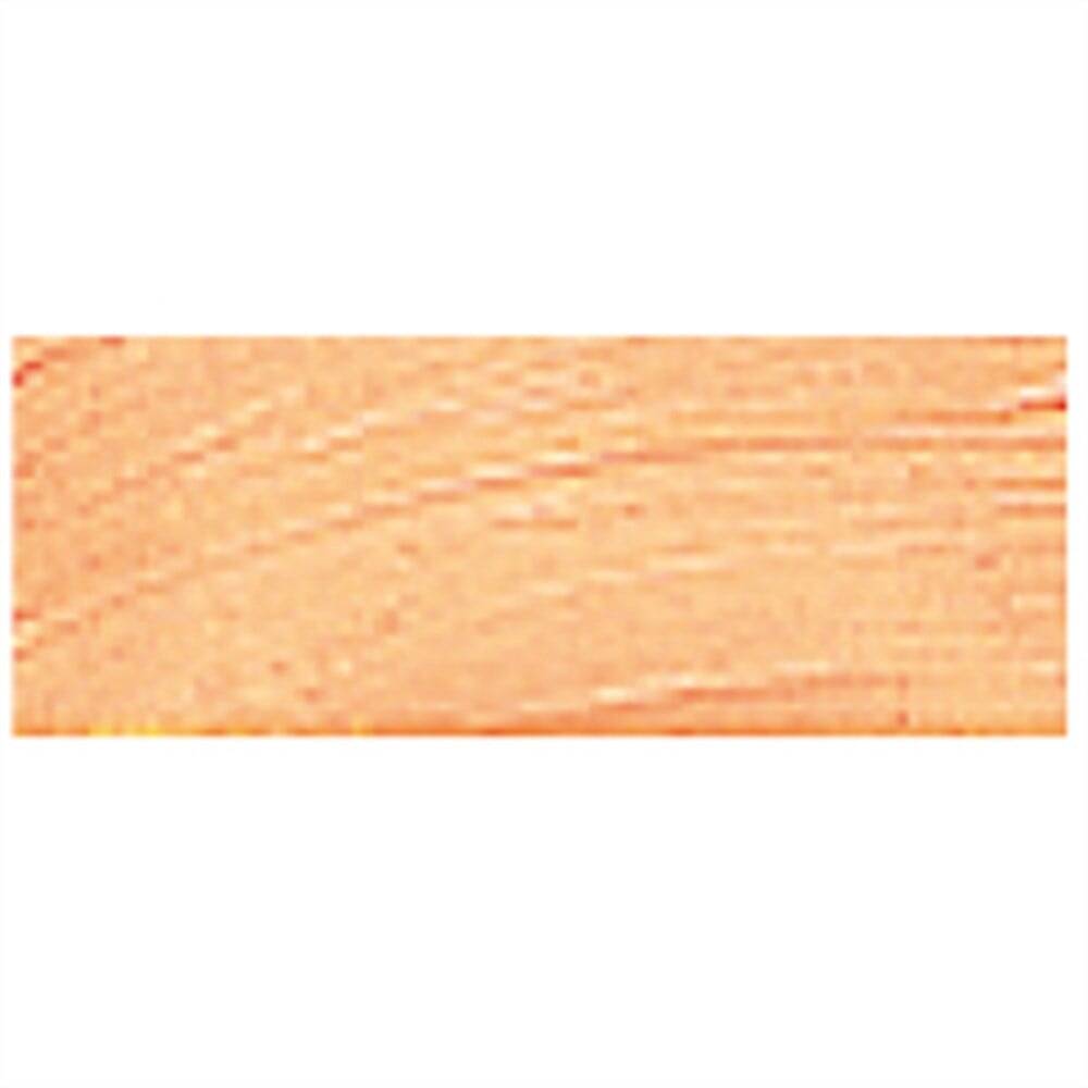 Talens Van Gogh Yağlı Boya 40 ml 224 Naples Yellow Red