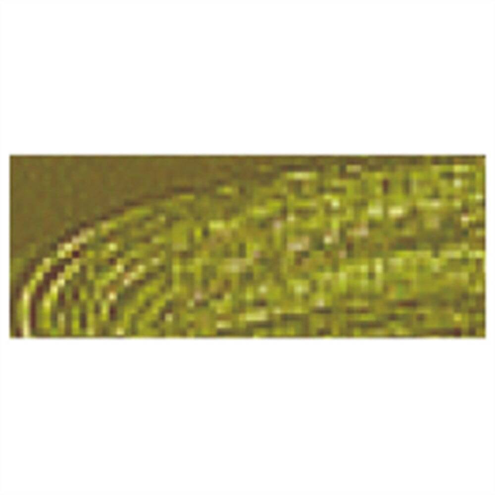 Talens Van Gogh Yağlı Boya 40 ml 620 Olive Green