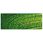 Talens Van Gogh Yağlı Boya 40 ml 623 Sap Green