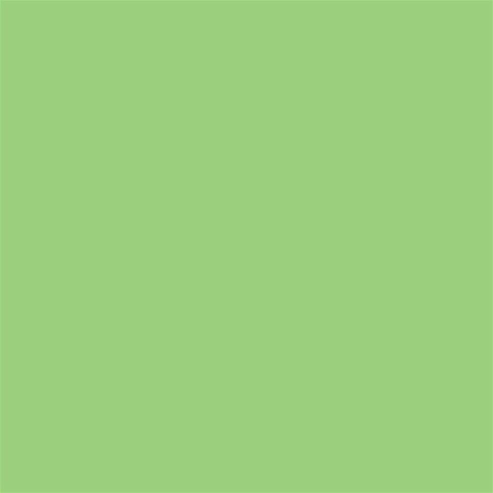 Winsor & Newton Promarker Grafik Kalemi 210 Apple G338