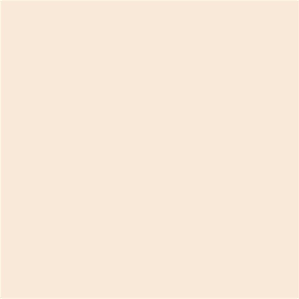 Winsor & Newton Promarker Grafik Kalemi 216 Almond O819