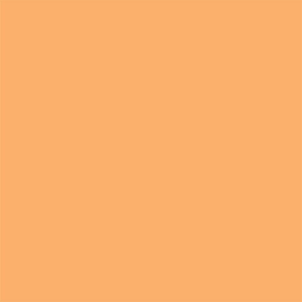 Winsor & Newton Promarker Grafik Kalemi 255 Apricot O538