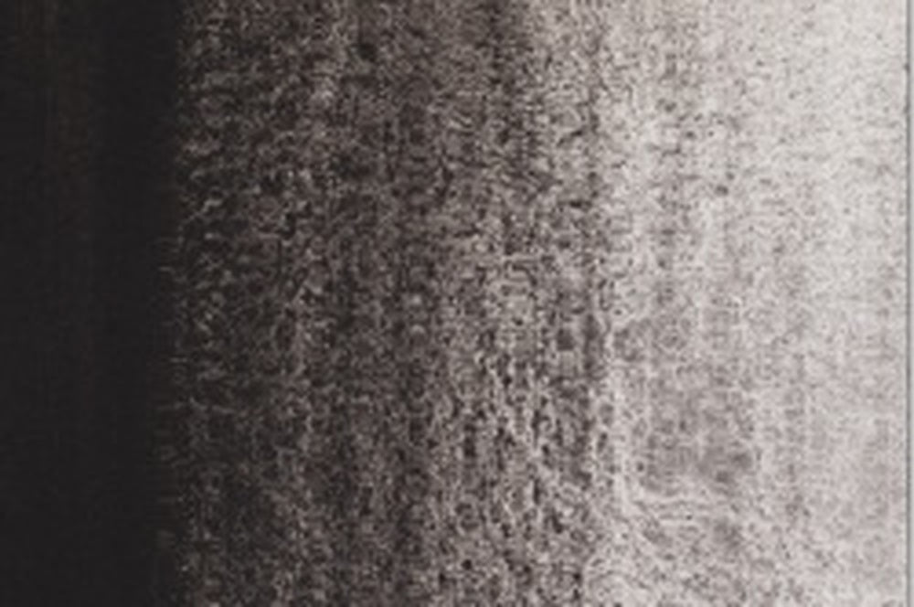 800 White Nights official wash